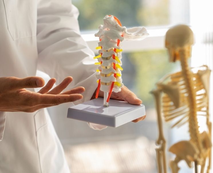 Kemik Mineral Yoğunluğu