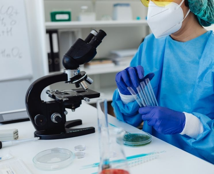 Alkalen Fosfataz Nedir